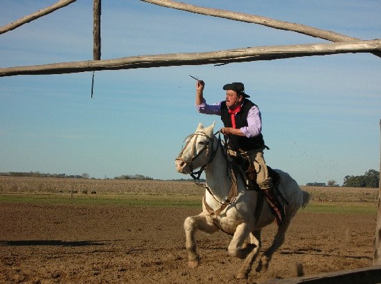 GUIA DE ARGENTINA
