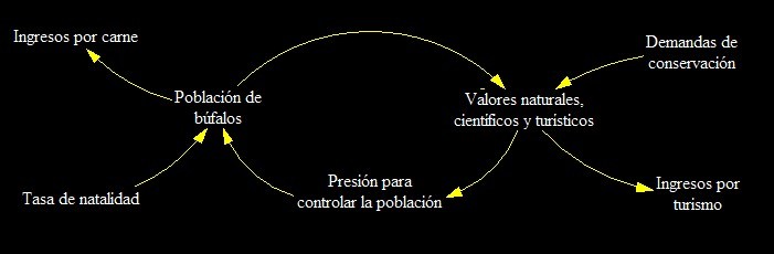 Anlisis del impacto de la poblacin de bfalos en los Mogotes de Jumagua