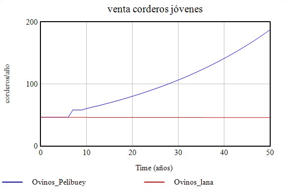 Anlisis del impacto de la sustitucin de los ovinos criollos 