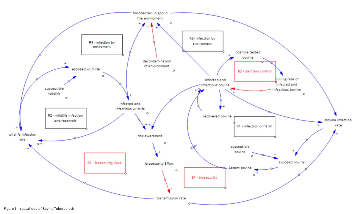 Tuberculosis as a Complex System  