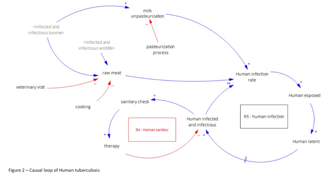 Tuberculosis as a Complex System  