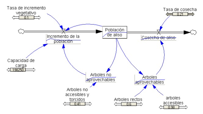 Anlisis del aprovechamiento del aliso (Alnus acuminata)